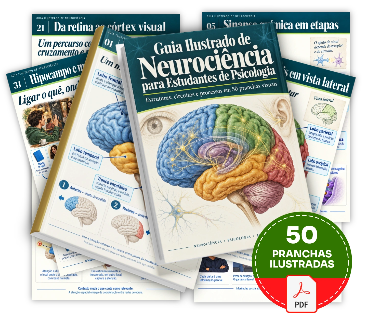 Guia Ilustrado de Neurociência para Estudantes de Psicologia