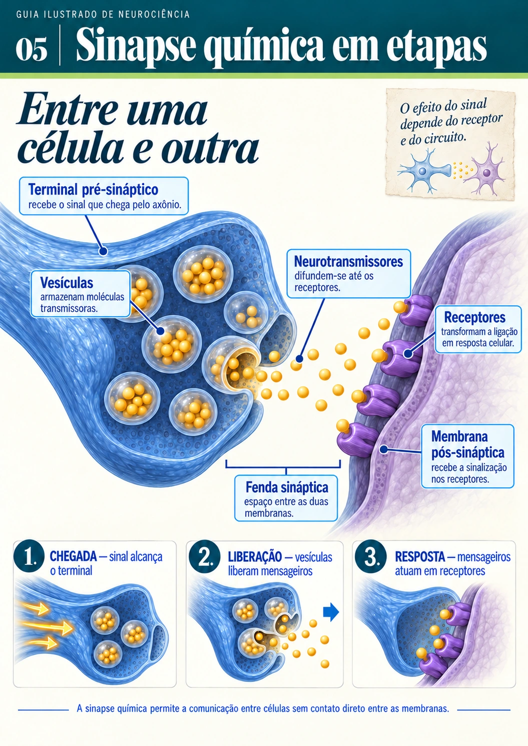 Prévia 2