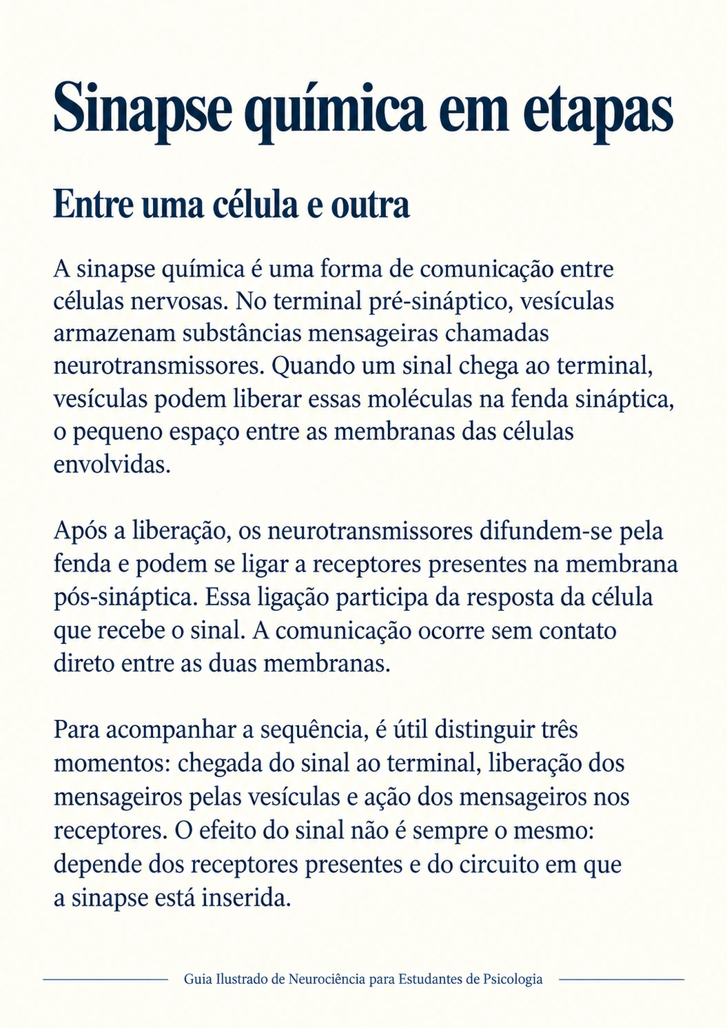 Descrição em texto